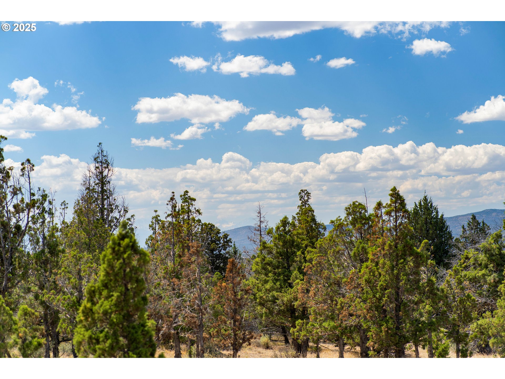 15255 Southeast Remington Road Prineville, OR 97754 - Photo 43 of 45