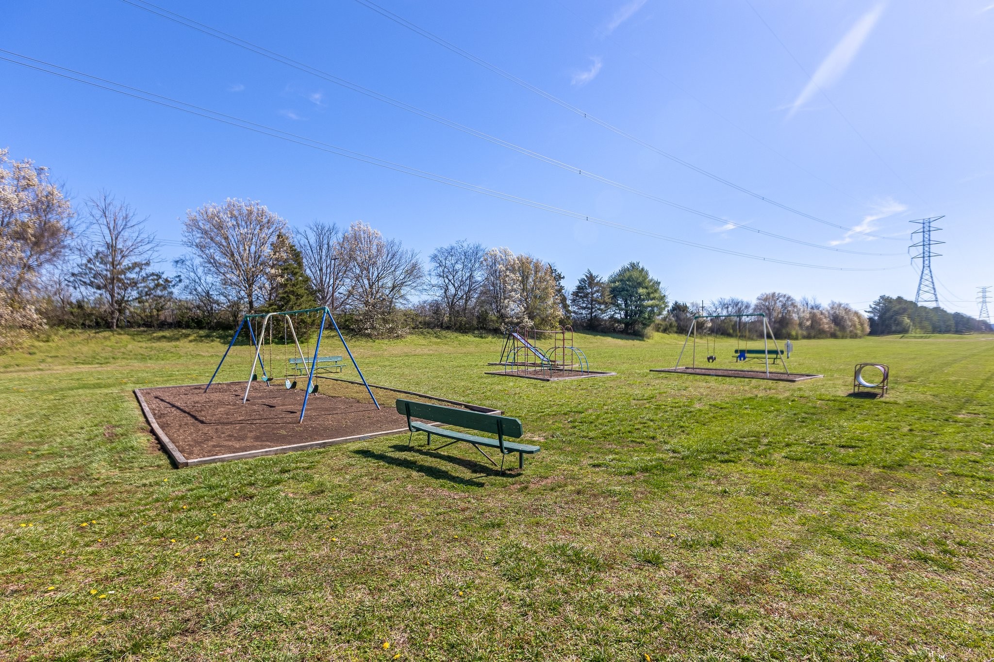1216 General George Patton Road Nashville, TN 37221 - Photo 29 of 32 a view of a park with large trees