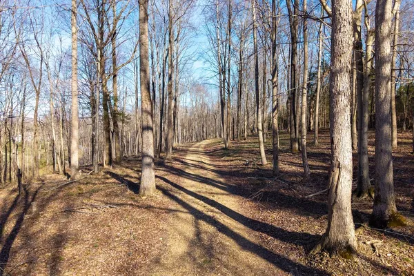 a view of a backyard with trees