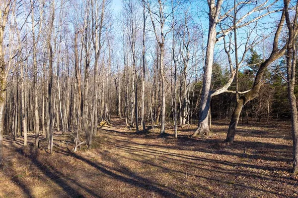 a view of a pathway with a house