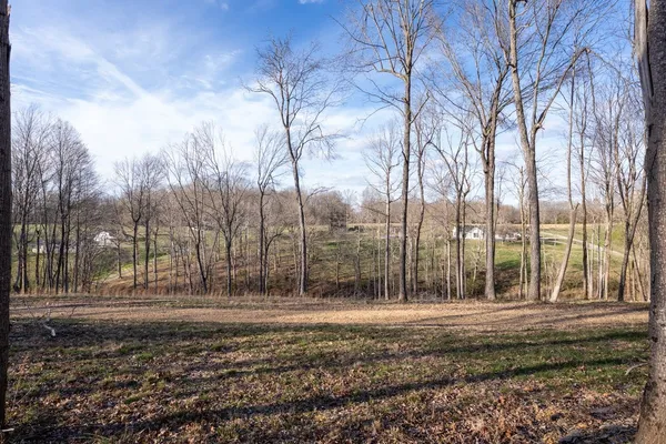 a view of back yard