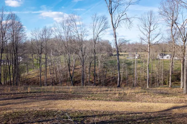 a view of a backyard with trees