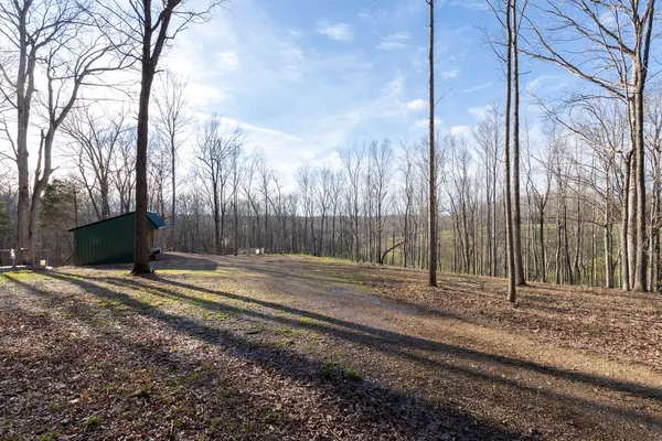 a view of a backyard with wooden fence