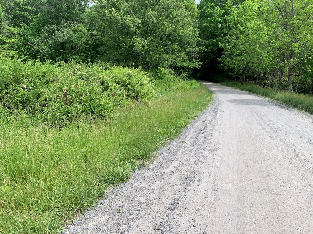 17.76-ac Greasy Creek Road Murphy, NC 28906 - Photo 5 of 17