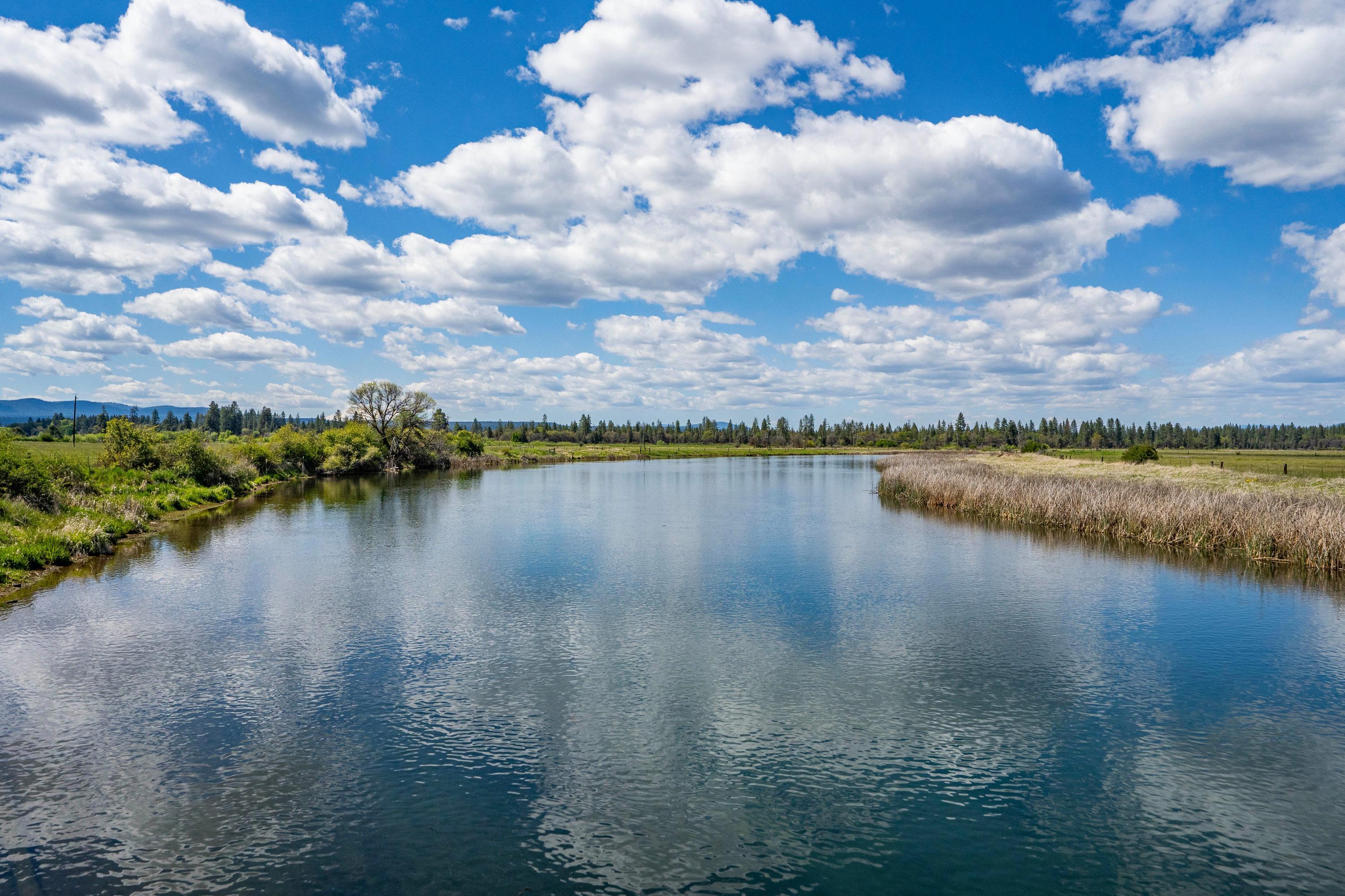 0 Spring Creek Road Fall River Mills, CA 96028 - Photo 50 of 60 a view of a lake with outdoor space