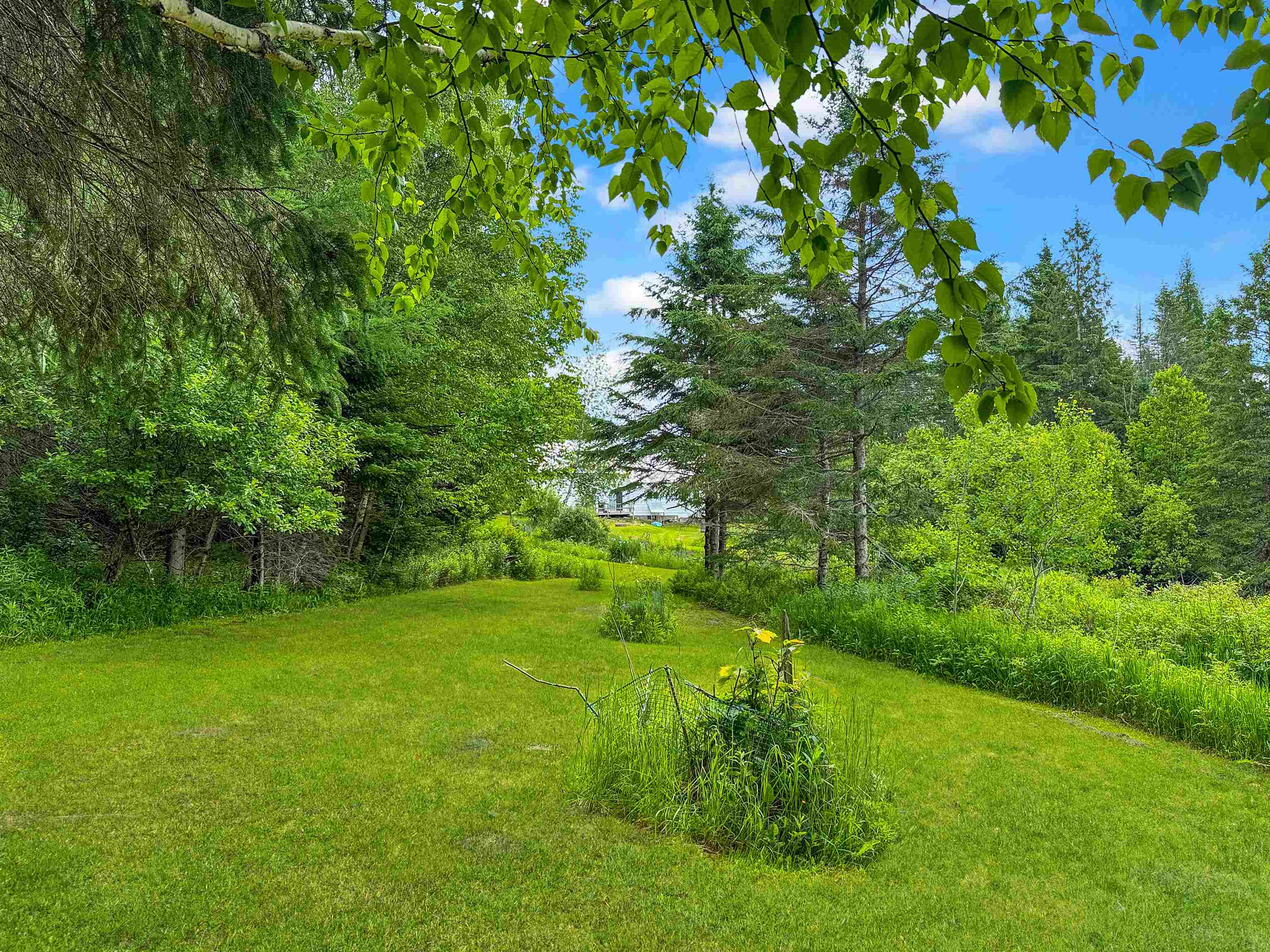 126 Gray Road Columbia, NH 03576 - Photo 49 of 59