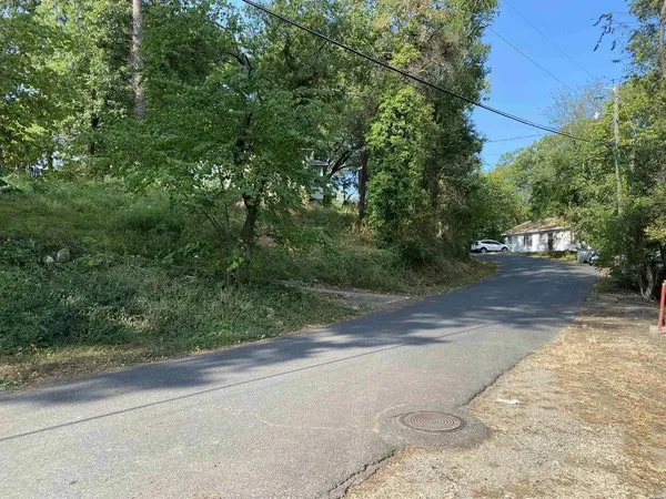 a view of a yard with plants and trees beside of road