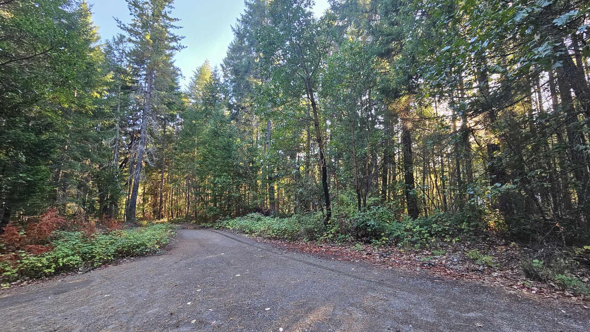 5910 Deer Creek Road Selma, OR 97538 - Photo 4 of 12 5910 3