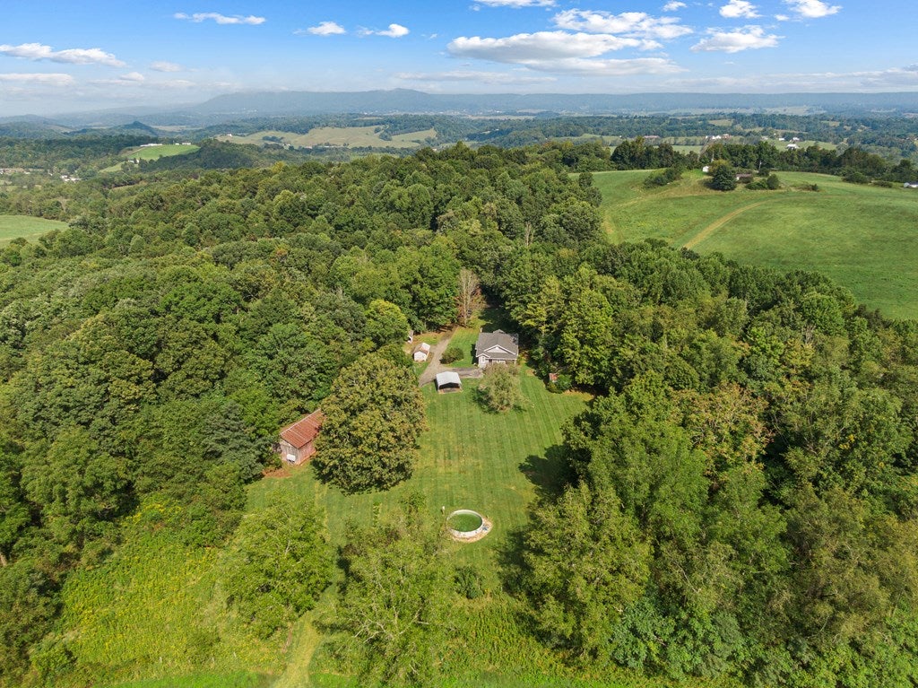 390 Gardner Road Barren Springs, VA 24313 - Photo 51 of 61 Gallery Image 51