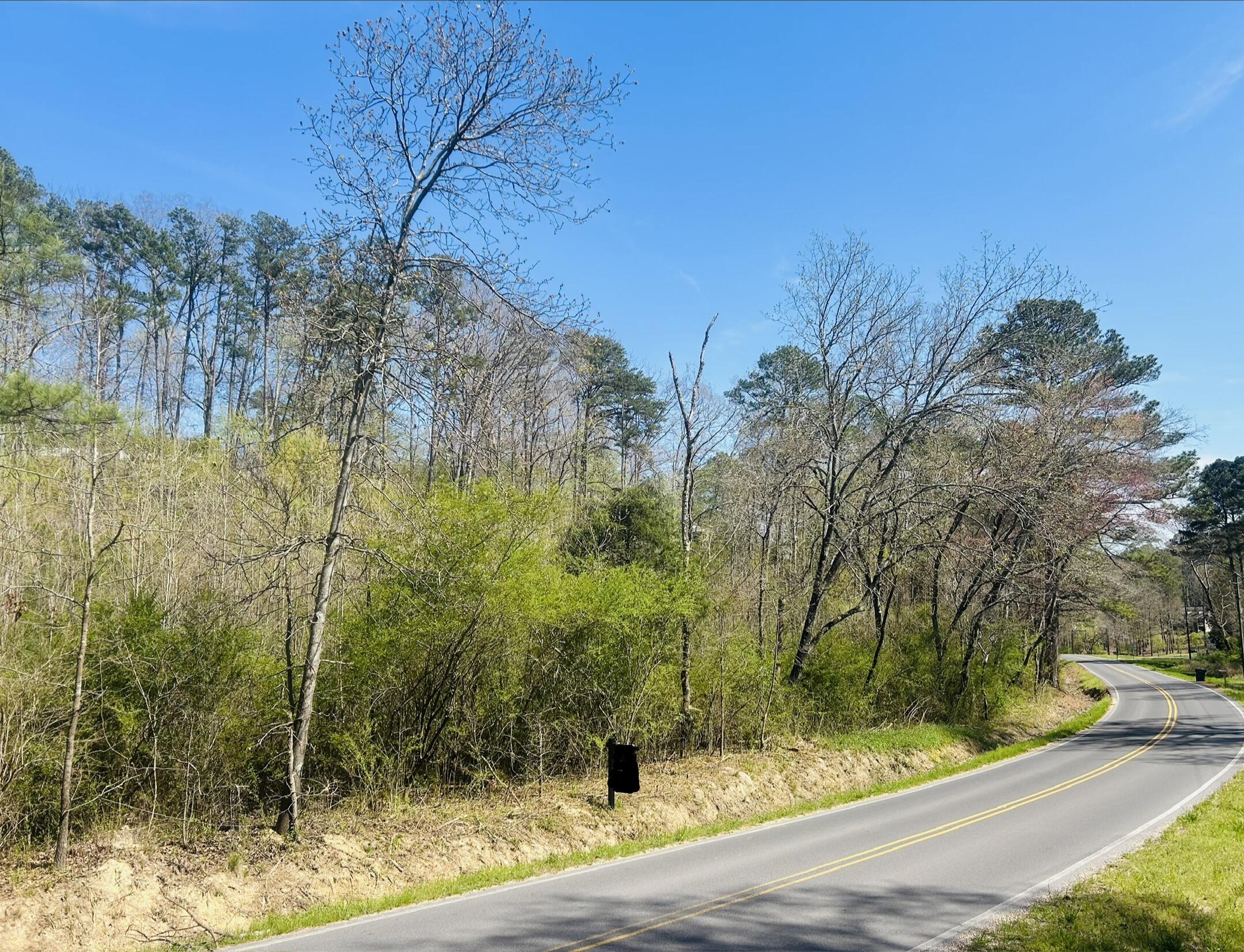 4197 Cohutta Varnell Road Cohutta, GA 30710 - Photo 2 of 7 IMG_0881