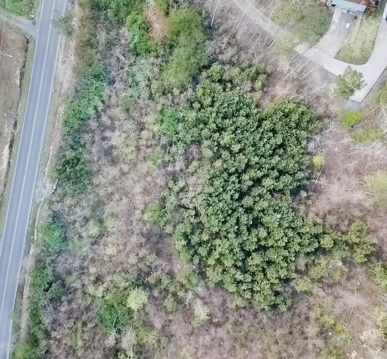 4197 Cohutta Varnell Road Cohutta, GA 30710 - Photo 3 of 7 AA88F109-9725-41B7-8218-21A85CB07DE2