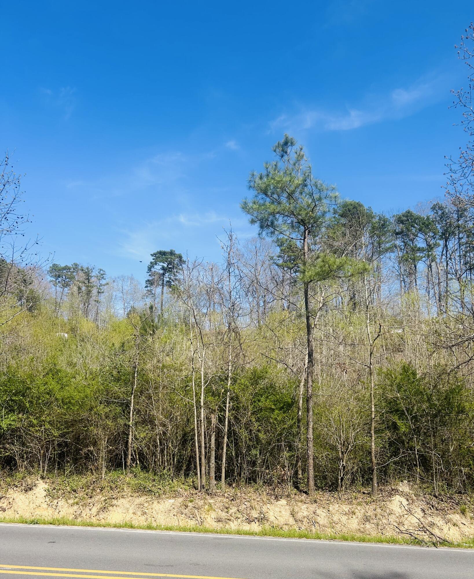 4197 Cohutta Varnell Road Cohutta, GA 30710 - Photo 5 of 7 IMG_0876