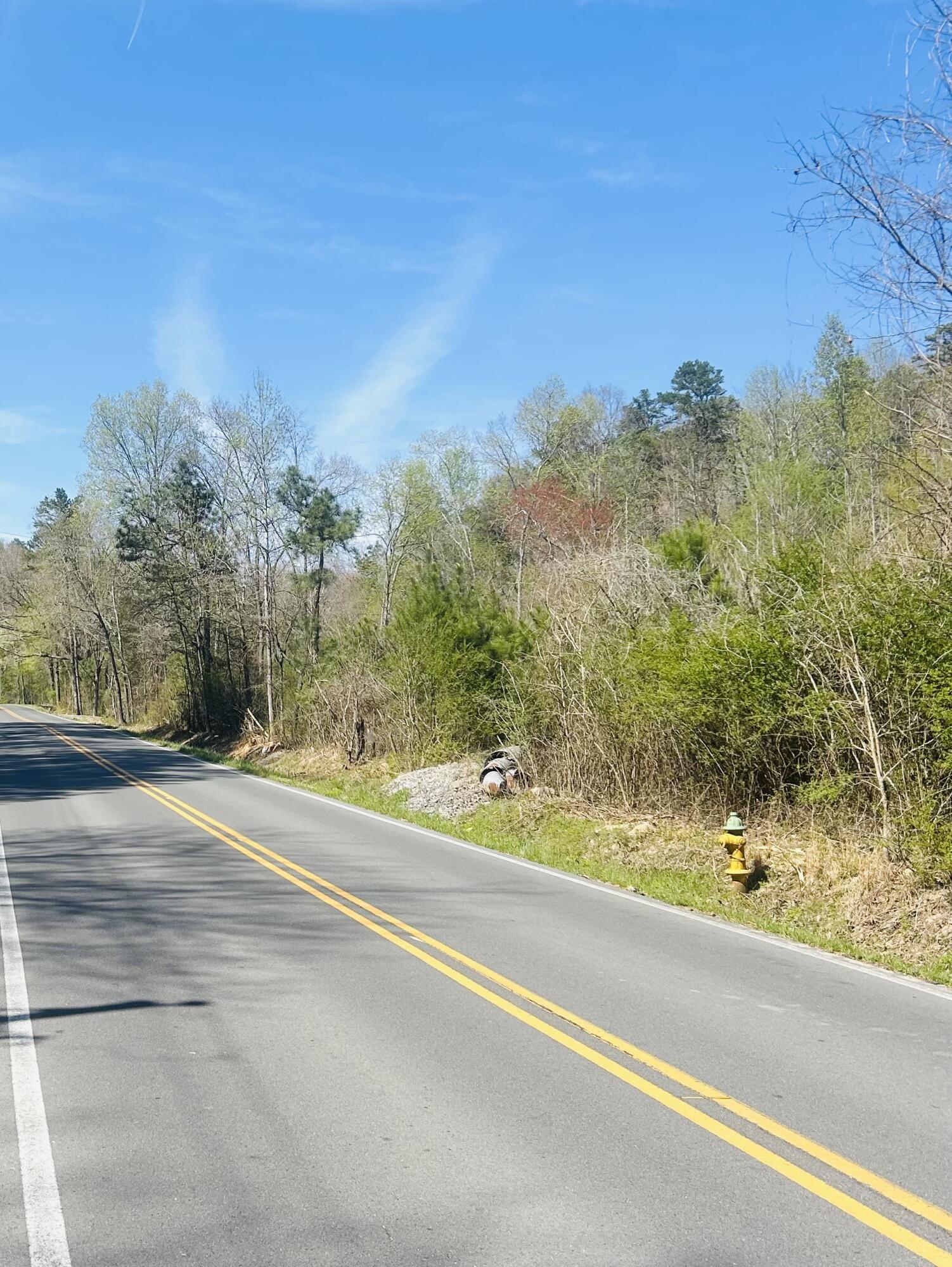4197 Cohutta Varnell Road Cohutta, GA 30710 - Photo 6 of 7 IMG_0877 (1)