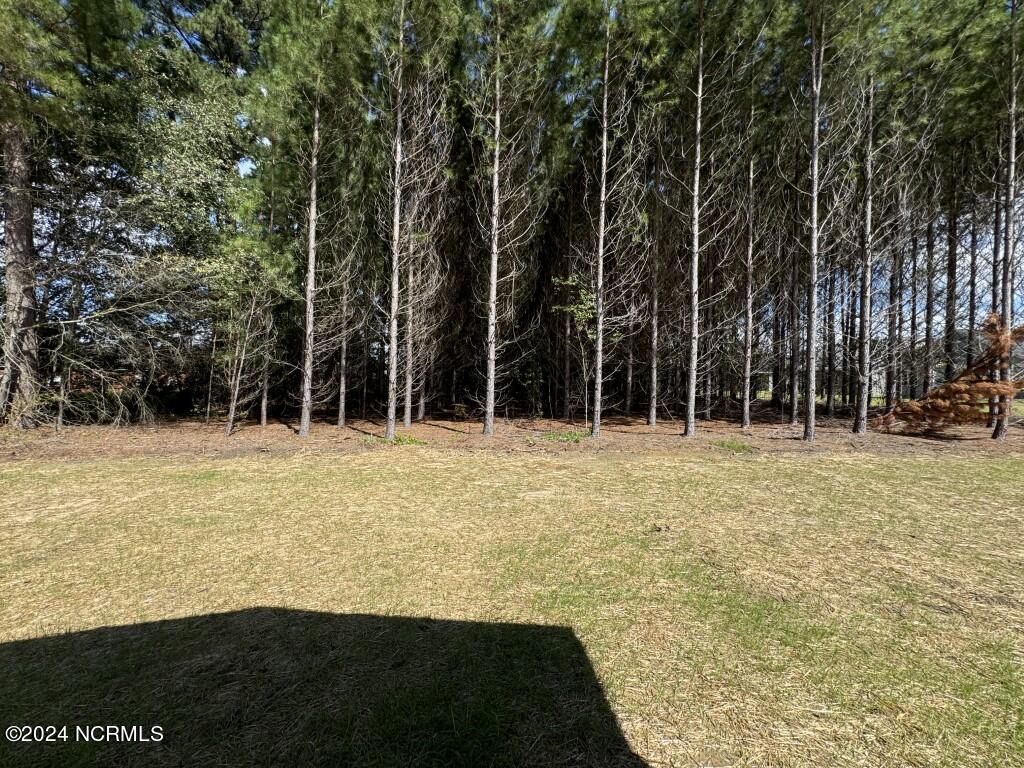 1007 Sunnybrook Road South Wilson, NC 27893 - Photo 19 of 24 IMG_6595 (Medium)
