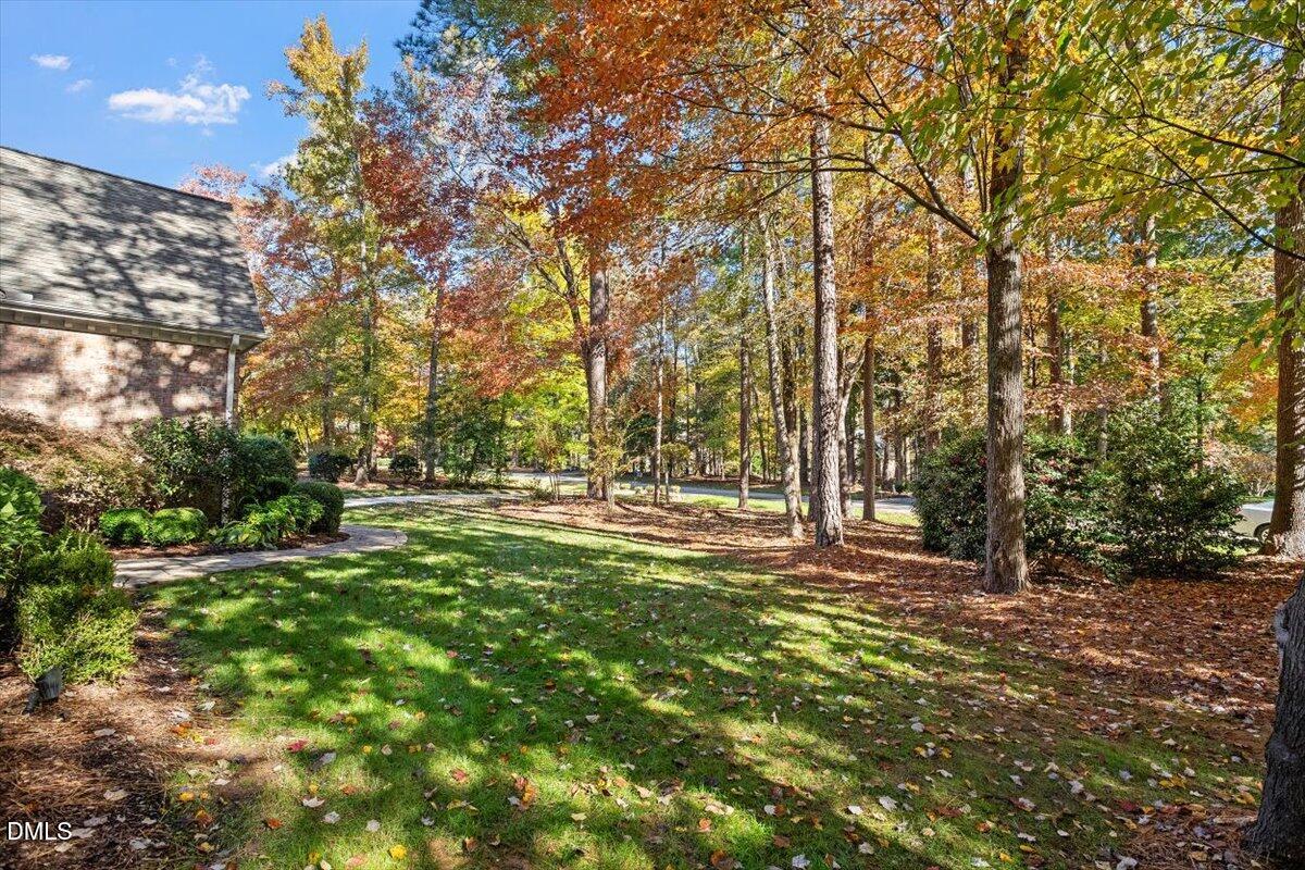 7009 Potomac Court Raleigh, NC 27613 - Photo 2 of 49 a view of outdoor space with trees all around