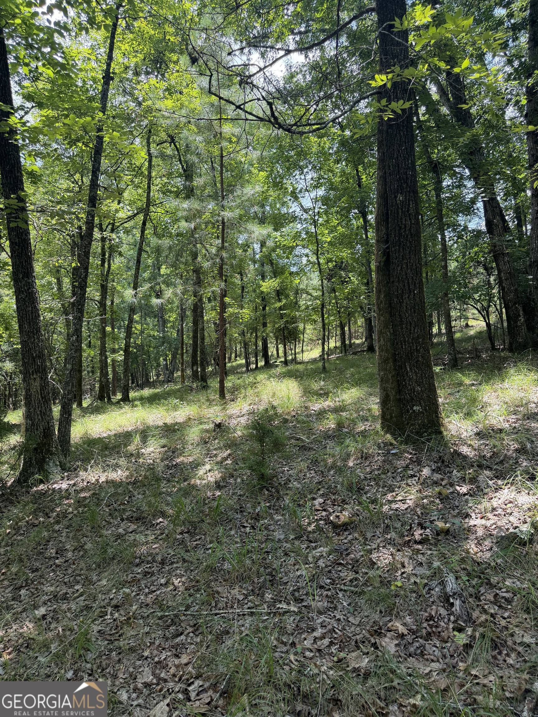 0 Pleasant Valley Road Thomaston, GA 30286 - Photo 10 of 20