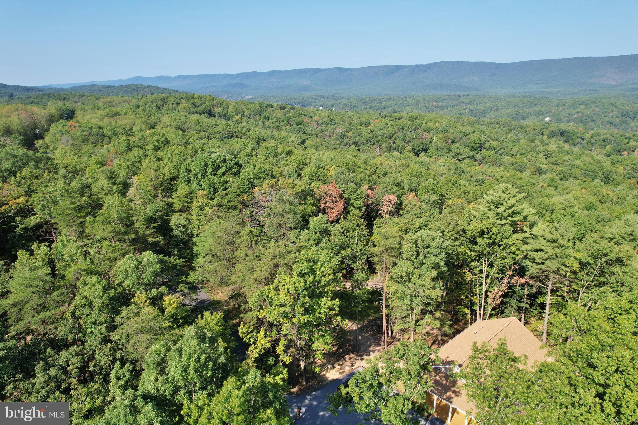 8125 Supinlick Ridge Road Mount Jackson, VA 22842 - Photo 5 of 76 Gorgeous Location, Only Minutes to Bryce Resort!