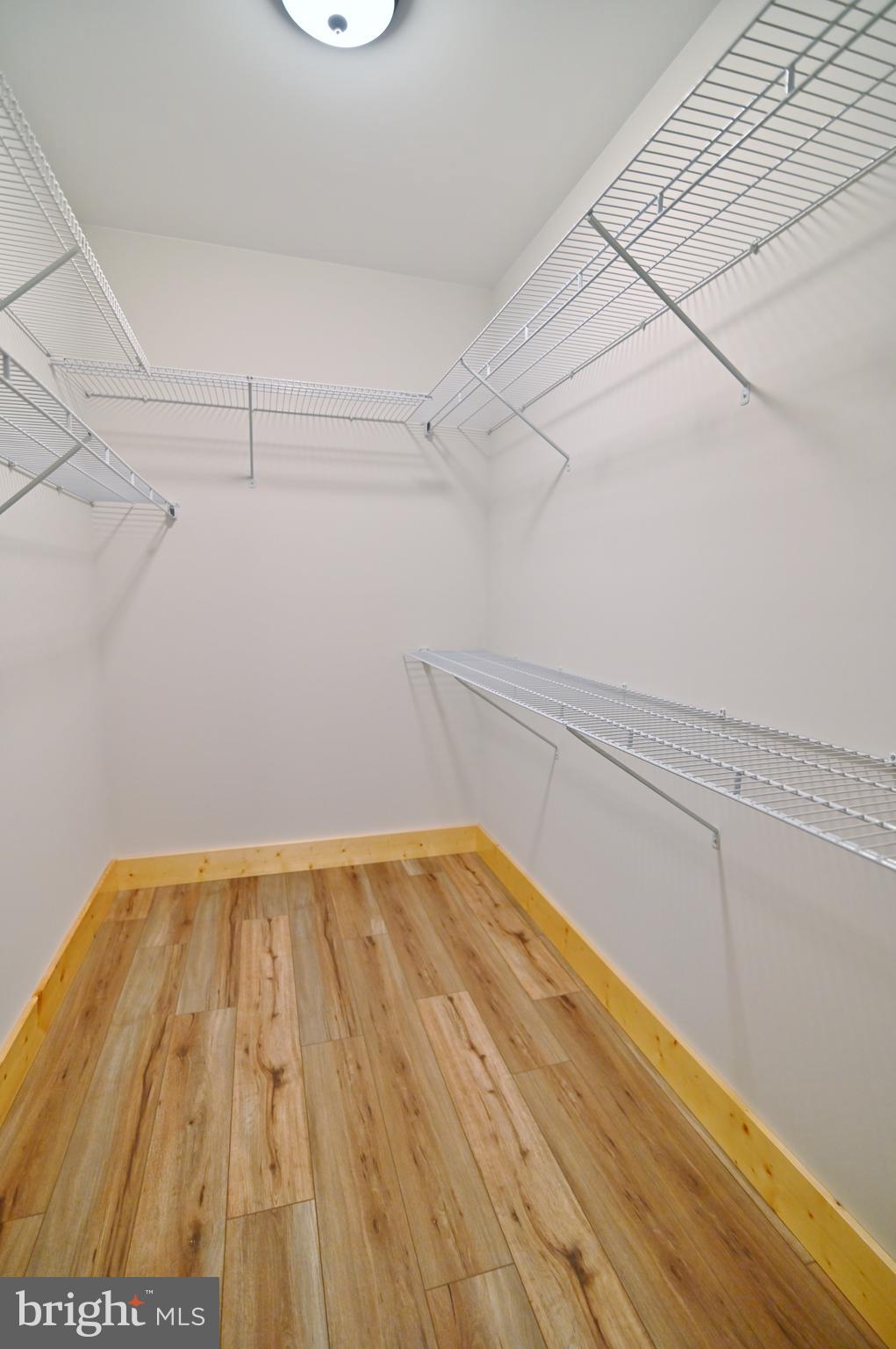 8125 Supinlick Ridge Road Mount Jackson, VA 22842 - Photo 49 of 76