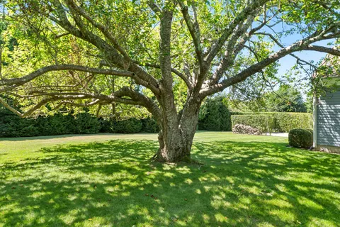 a view of outdoor space with deck and yard