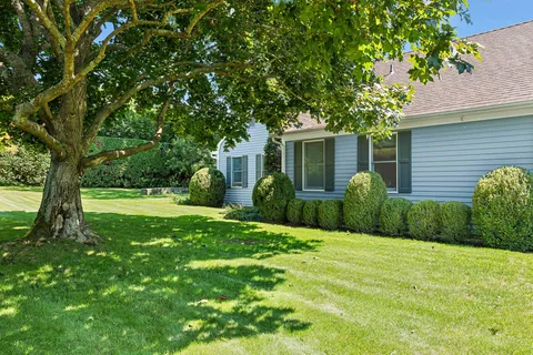 a view of a house with backyard and a tree