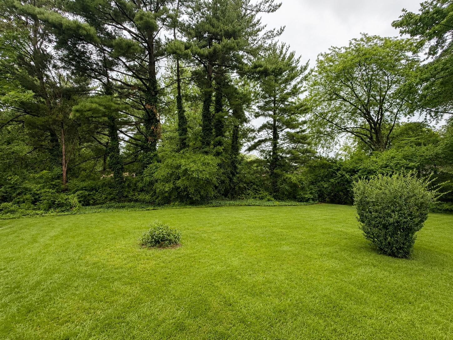 1238 Francisco Road Columbus, OH 43220 - Photo 13 of 14