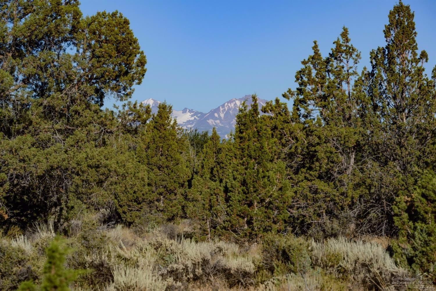 64845 Allen Road Bend, OR 97703 - Photo 2 of 23 29 acres of natural landscaping, yours t