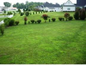 535 Leesburg Road Telford, TN 37690 - Photo 21 of 22 Back yard