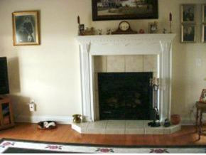 535 Leesburg Road Telford, TN 37690 - Photo 4 of 22 Fireplace