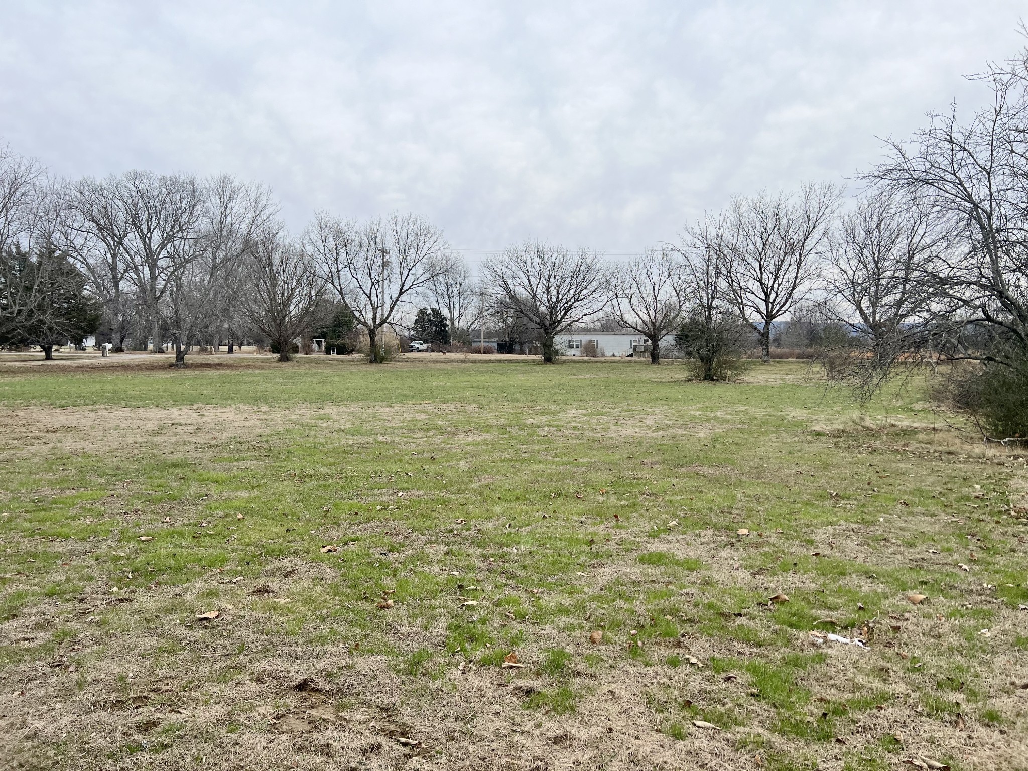 15 Red House Road Elora, TN 37328 - Photo 3 of 21 a yard with trees in the background