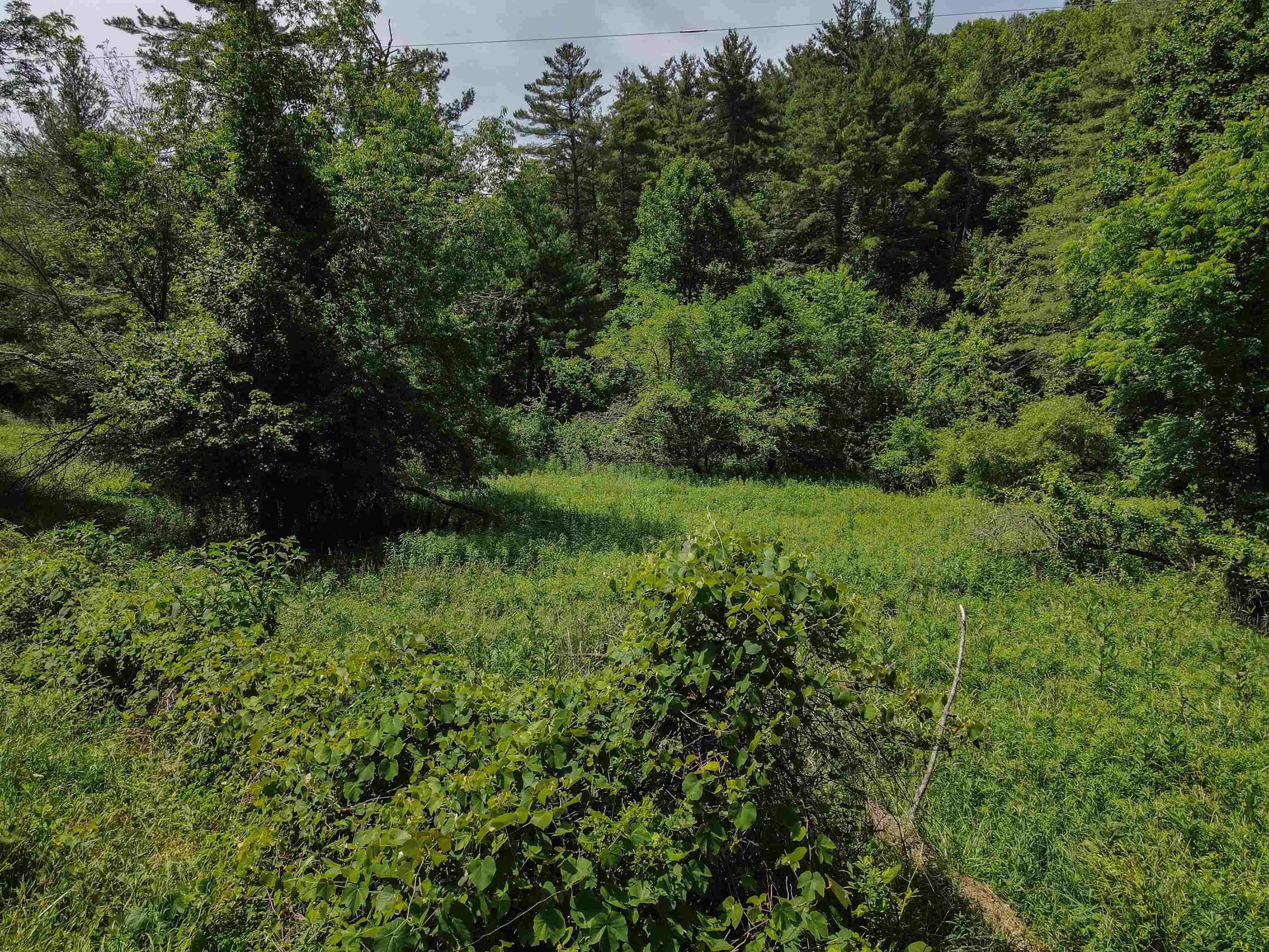 Tbd Kings Store Road Northeast Floyd, VA 24091 - Photo 3 of 28 Gallery Image 3