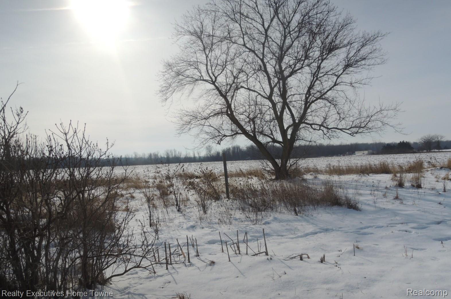 3046 Walker Road Carsonville, MI 48419 - Photo 3 of 31 3046 Walker Yard 2.JPG