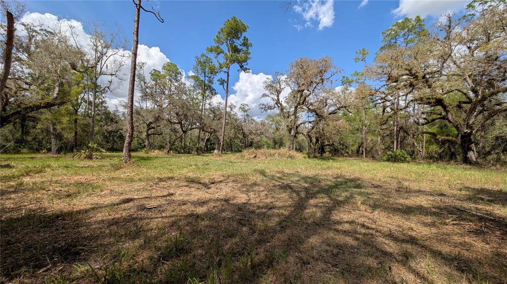 Gillette Road Zolfo Springs, FL 33890 - Photo 39 of 86 Gallery Image 39