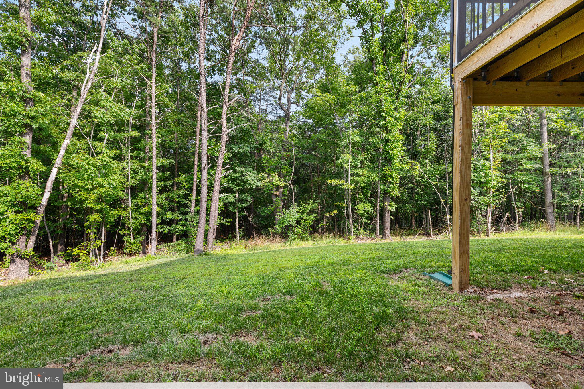 412 Mile Ridge Estates Strasburg, VA 22641 - Photo 36 of 54 2E6A1027b_412 Mile Ridge Estates - Absolute Altitu