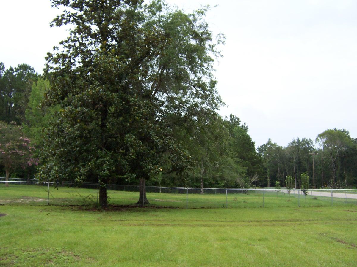 2912 R M Ward Road Ponce de Leon, FL 32455 - Photo 9 of 32 100_4859