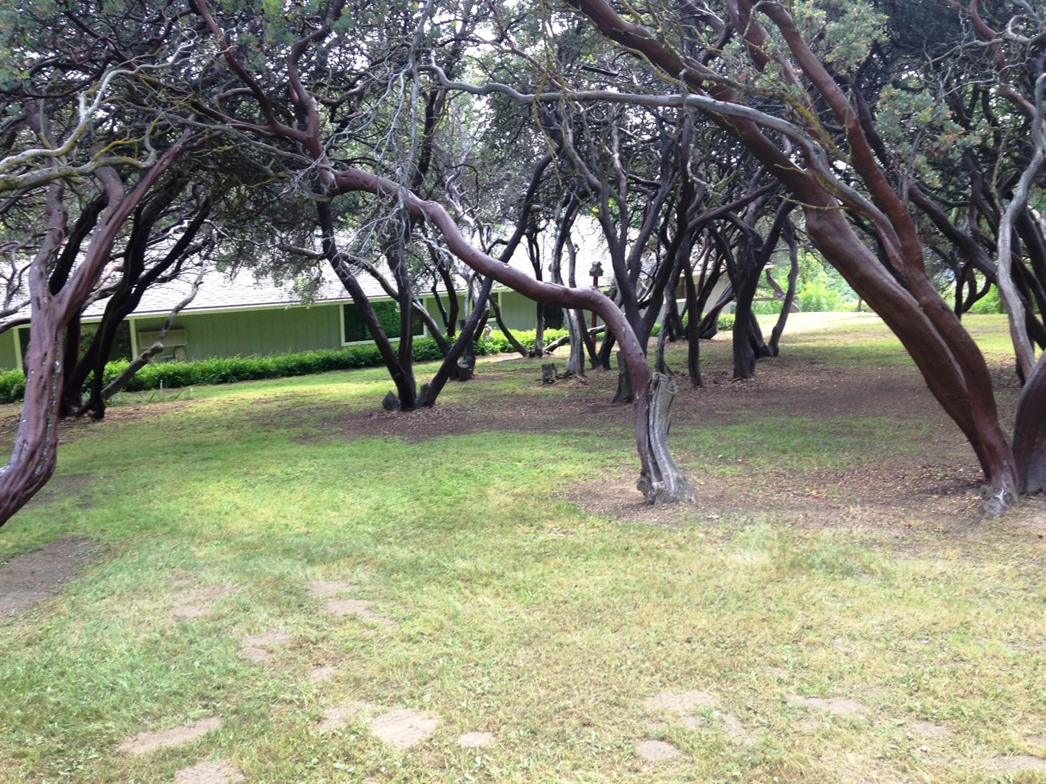 48910 Dunlap Road Miramonte, CA 93641 - Photo 17 of 49 Gallery Image 17
