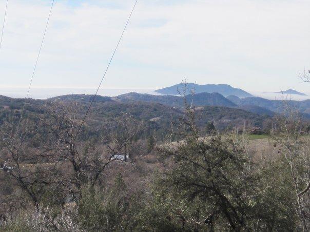 48910 Dunlap Road Miramonte, CA 93641 - Photo 10 of 49 Gallery Image 10