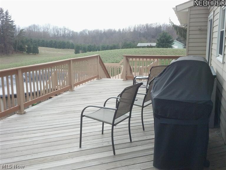 1530 Saxe Road Mogadore, OH 44260 - Photo 23 of 25 View from the deck and down to the pool