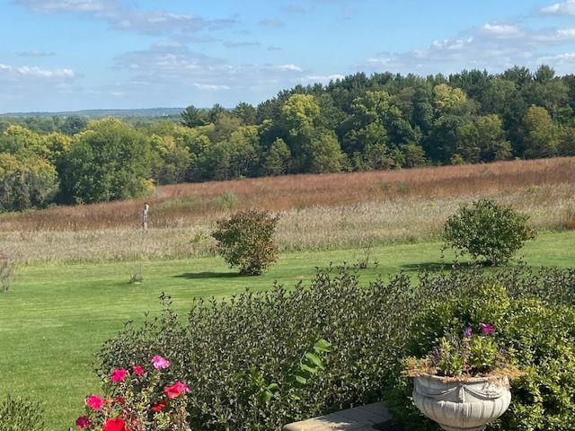 1869 East Town Line Road Oregon, IL 61061 - Photo 42 of 45 a view of a garden with a lake
