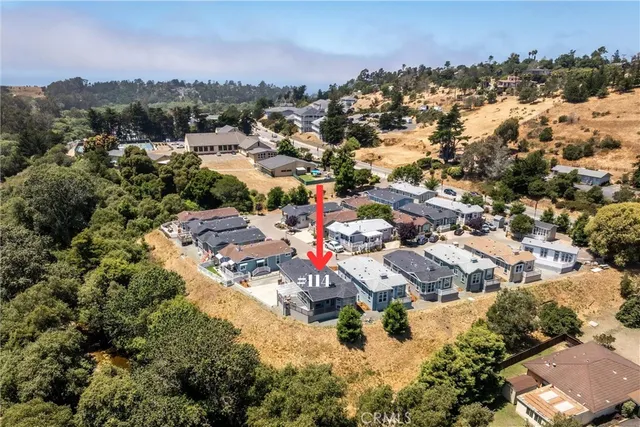an aerial view of residential houses with outdoor space and trees