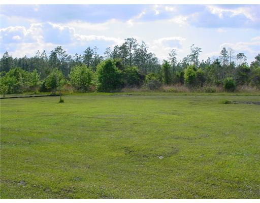 19305 North Shaw Road Saucier, MS 39574 - Photo 3 of 3 Additional Photo