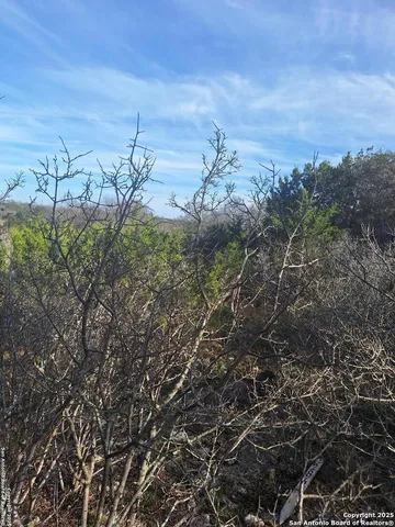 a view of a street with house in the background