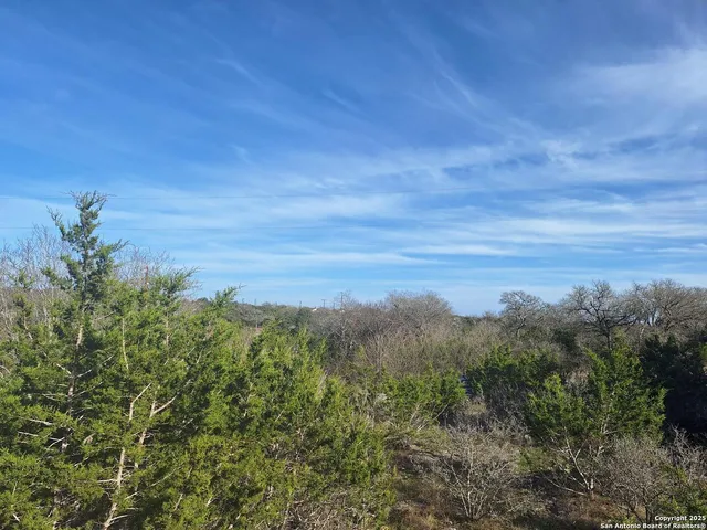 a view of a field of grass and trees