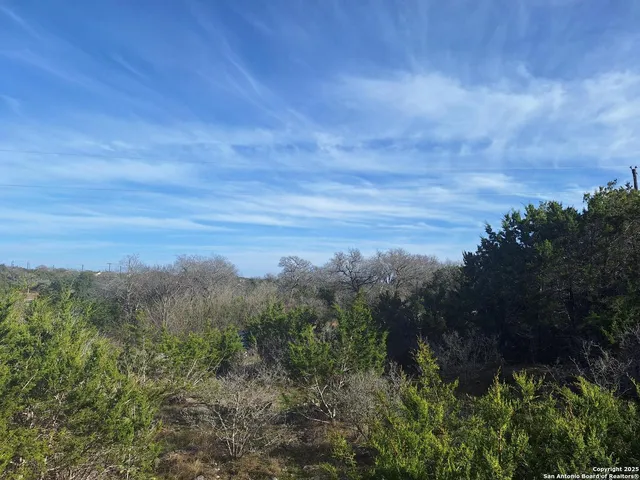 a view of a dry yard with trees