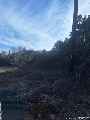 a view of a dry yard with trees
