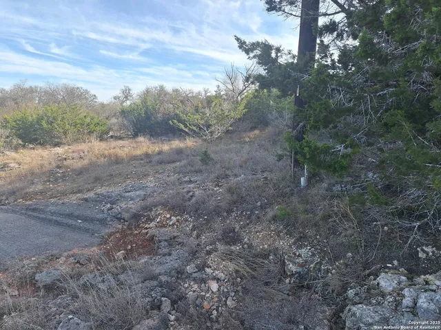 a view of a road with a yard