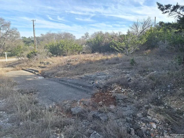 a view of a dry yard