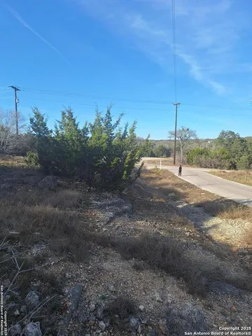 a view of a forest with trees in the background