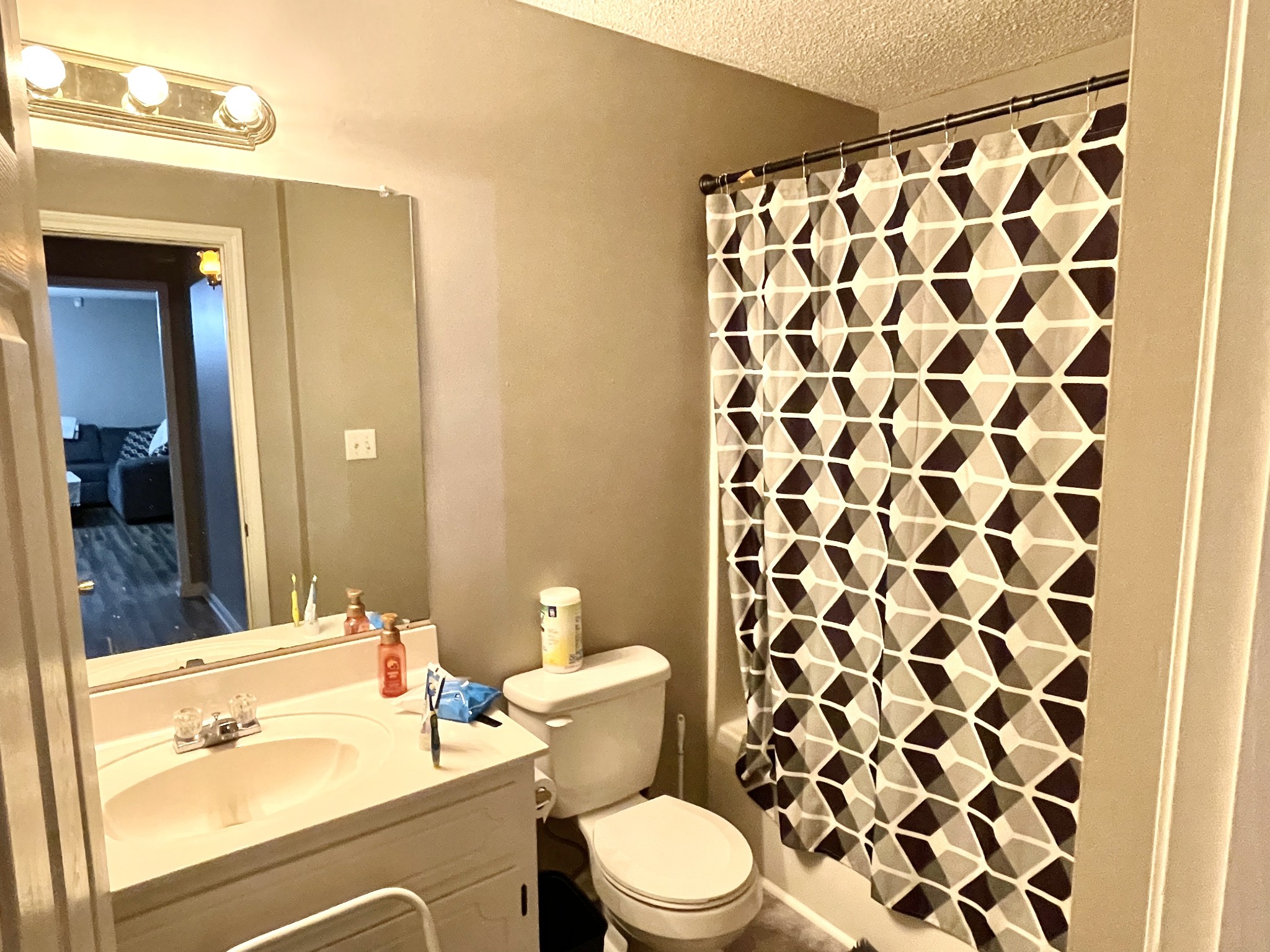 710 Hugh Hunter Road Oak Grove, KY 42262 - Photo 10 of 12 a bathroom with a sink a toilet a mirror and shower curtain