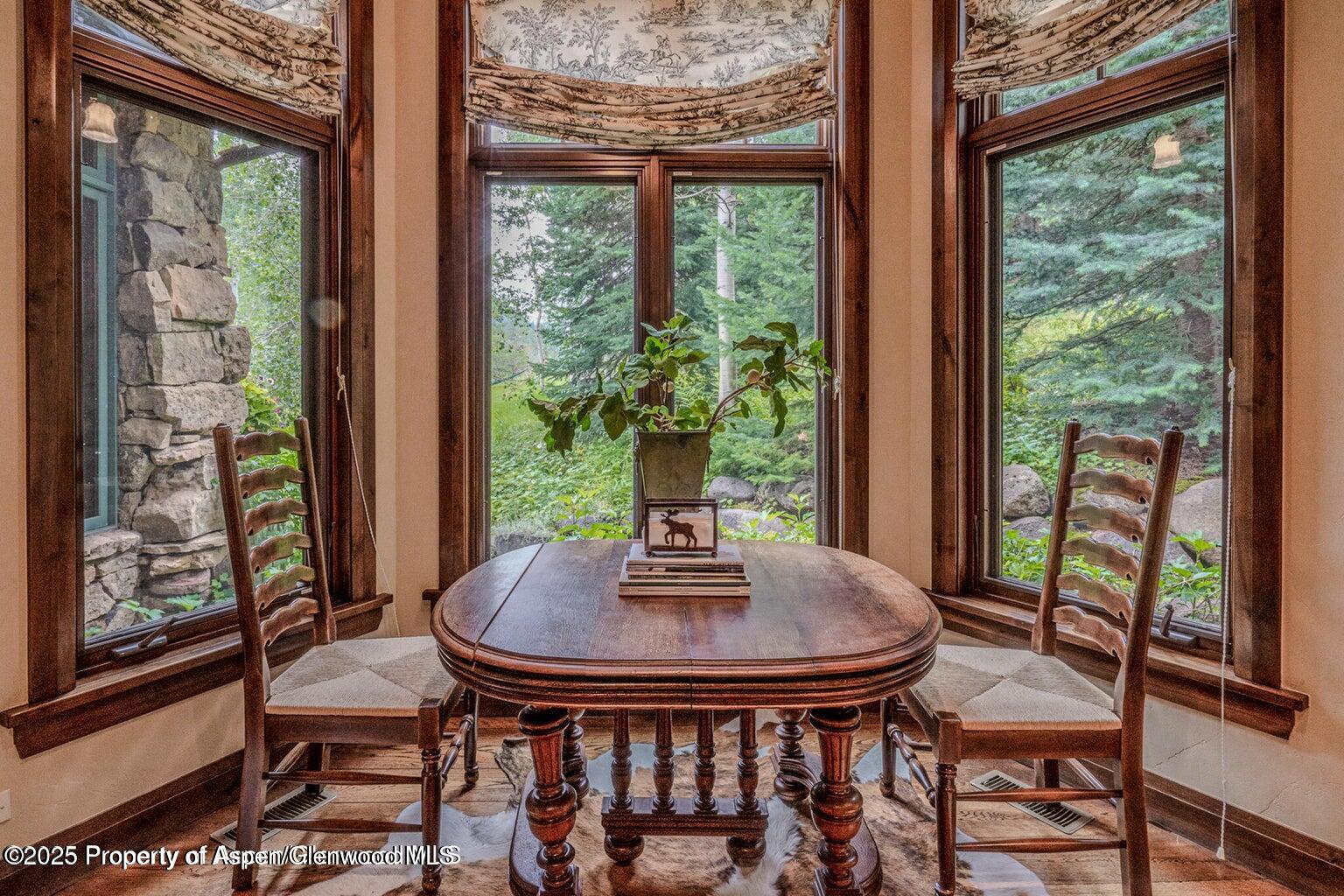 800 South Hayden Road Aspen, CO 81611 - Photo 24 of 57 15