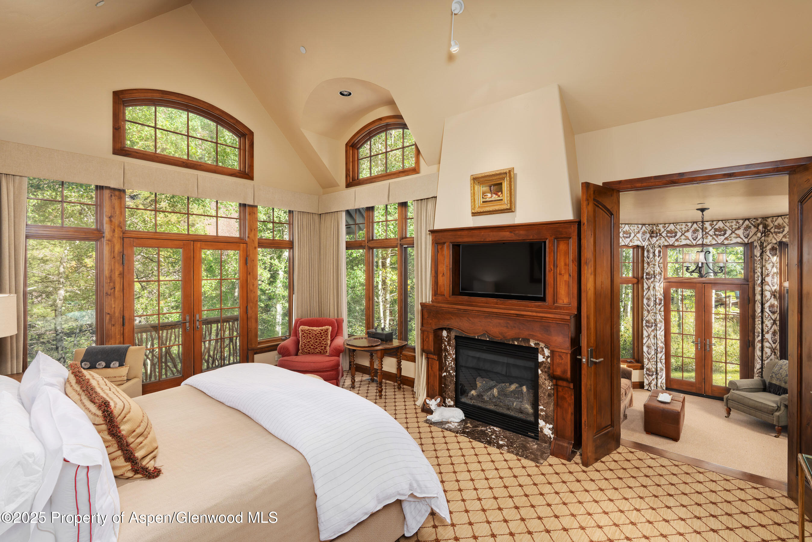 800 South Hayden Road Aspen, CO 81611 - Photo 35 of 57 Photo18